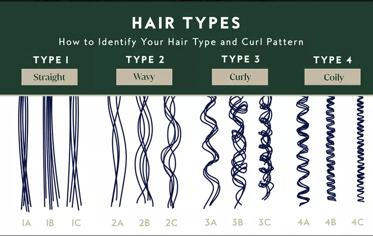 hair type chart​